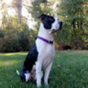 Meet your Posher, Marissa